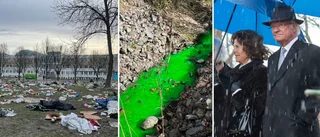 Här är månadens quizvinnare – och de rätta svaren