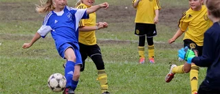 225 matcher i Pilsbocupen
