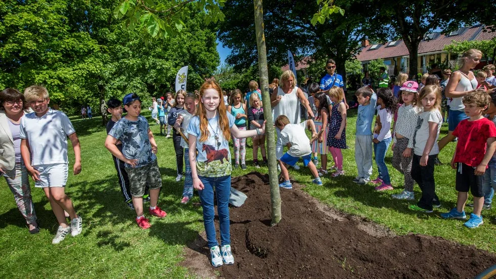 Ida Arnberg fick plantera träd.