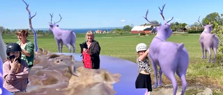 En promenad med oväntade virtuella överraskningar