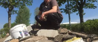 ”Bara fåglarna tycker det är roligt”