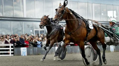 Hövding Lavec tog hem tredje V75-avdelningen efter ett helt lopp utvändigt ledaren. En imponerande insats. Bild: JOHANNA WALLIN