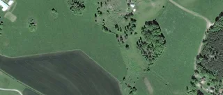 Ägarbyte för lantbruksfastighet i Linghem
