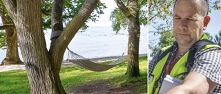 Visby klassas som en av världens bästa städer för träd