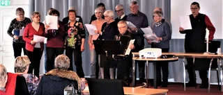 PRO Överkalix höll årsmöte