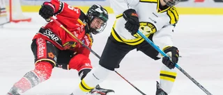 Bildspecial: Luleå Hockey/MSSK