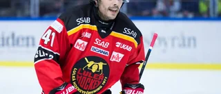 Bildspel: Se alla bilder från Luleå Hockeys hemmaseger