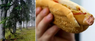 Korven försvann – och i uthuset sov en okänd man