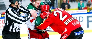 Bildspel: Hyllningen, hjälten och profilen