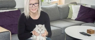 "Det är så extremt mycket pengar"
