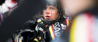 Bildextra: Luleå Hockeys tunga finalförlust