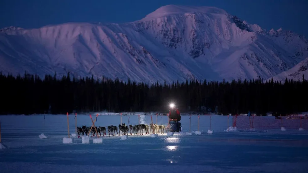 Mats Pettersson, Iditarod