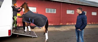 En hästprisses långa historia från morfars bil – till toppen
