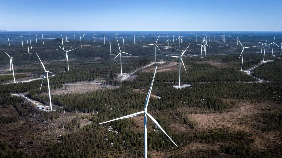 Nu växer vindkraftsparken i Markbygden i en hög hastighet. När Norrbottens-Kuriren kom på besök var 138 vindkraftsverk i drift. Trots att det var för ett par dagar sedan kan siffran redan ha hunnit ändras.