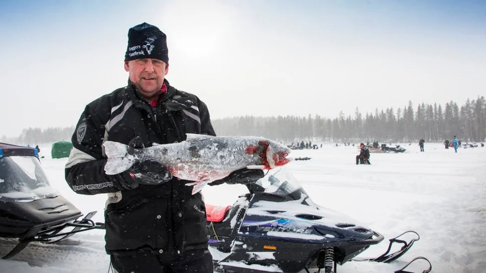 Troféfisken tog Mikael Forsberg från Sjulsmark. Han fick upp en riktig baddare på 4,4 kilo.
