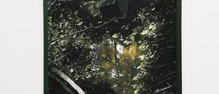 Inspirerad av tallarna och hedarna där hemma