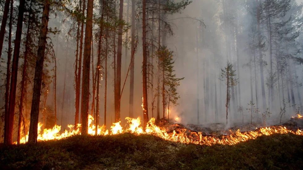 Trots svalare temperaturer är brandrisken i länet fortfarande kritisk.