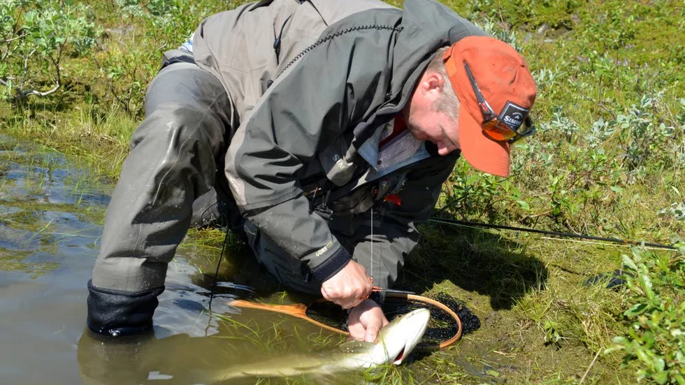 DET MODERNA SPORTFISKET. Ett viktigt instrument idag är peangen (tången). Fisken ska tillbaka.
