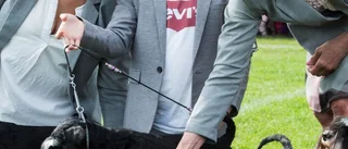 Hundutställning blev folkfest