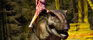 Tidsresa till dinosauriernas värld