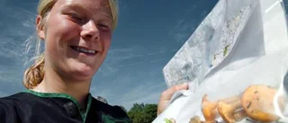 Både torrt och blött i skogen