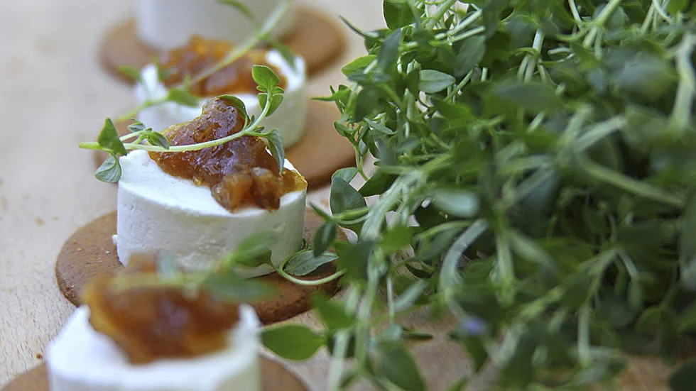 Kryddiga pepparkakor med chevréost, fikonmarmelad och timjan. Stora kontraster men tillsammans blir det bara så gott. Foto: Dan Strandqvist