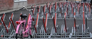 Cykelstölderna ökar i Sverige