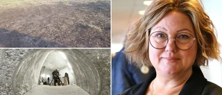 Kampanj om öns fulaste gräsmatta prisad – ännu en gång