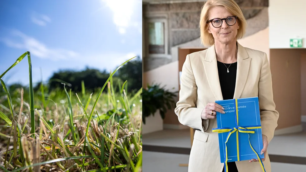 Uttorkade betesmarker och åkrar slår hårt mot många lantbrukare. Finansminister Elisabeth Svantesson (M) säger att riktat stöd till lantbruk som drabbas av torkan inte är uteslutet. Arkivbilder