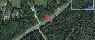 Fallna träd skapar problem i trafiken på väg 800