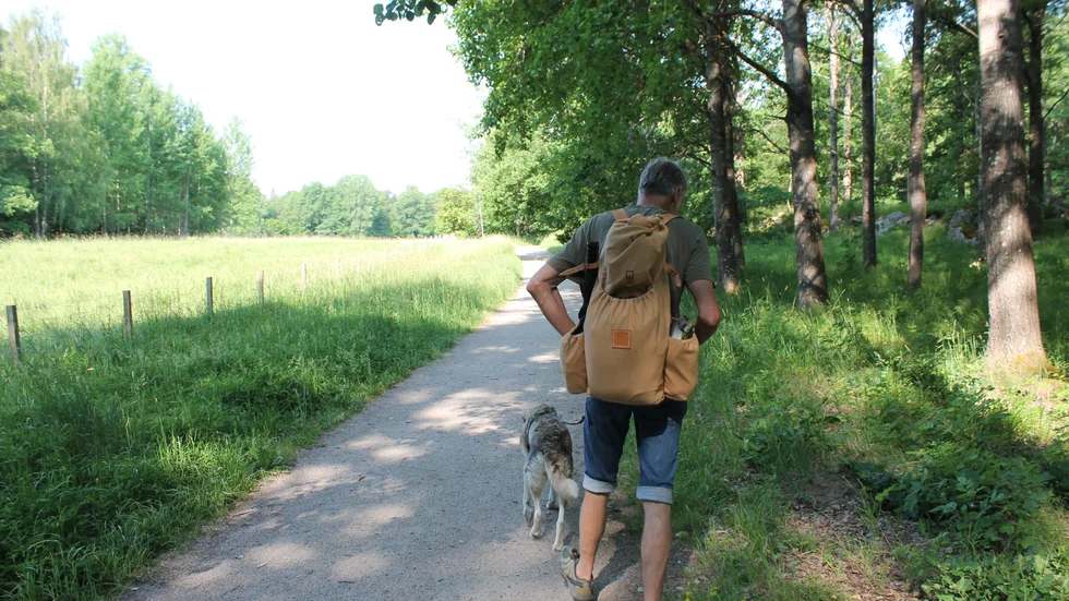 Mikael Andersson, naturspecialist, letar efter ätbara växter tillsammans med hunden Freja.