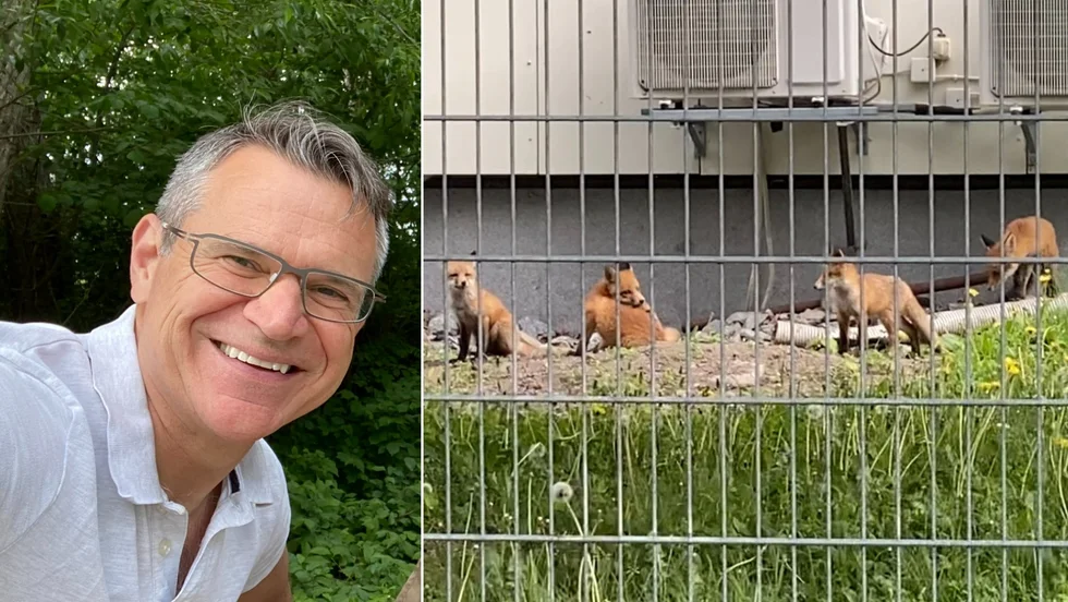Fredrik tyckte det var en naturupplevelse att få se rävarna. 