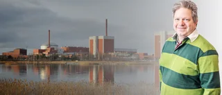 "Sveriges elkunder borde säga paljon kiitoksia"
