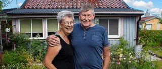 Tidig skörd på kolonilotten