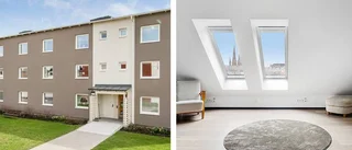 Mest – och minst – kvadrat för pengarna