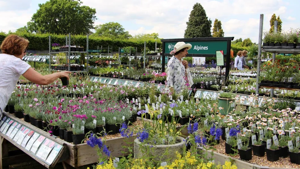 De engelska plantskolornas utbud är enormt. Här The Royal Horticultural Societys egen plantskola på Wisley utanför London