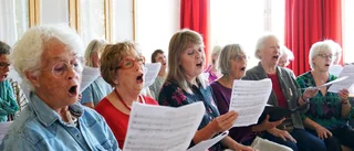 Musiker i alla åldrar håller konsert i Mjölby 
