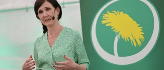 MP vill se kommitté för höjd klimatberedskap