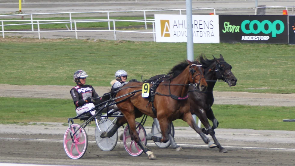 The Oak LA (Hanna Olofsson) kopplar grepp på invändige Soul Tan (Elisabeth Lundholm) i V4-1 på Skellefteåtravet. Tiden över den långa distansen 1.13,2.