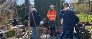 Experten Malins bästa tips – så får du träden att digna av frukt