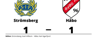 Axel Hillbom fixade kryss för Strömsberg