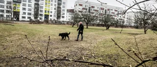Få svar om Seminarieparkens framtid
