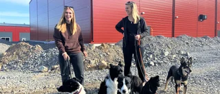 Avslöjar: Stort hundsportcenter öppnar snart i Luleå
