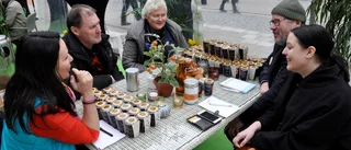 Företagare söker sympati med solrosor