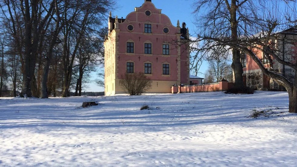 Skånelaholms slott
