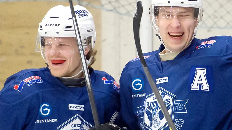 Vanlig syn. Niclas Claesson och Tony Lagerström var heta på isen. 