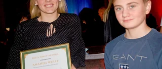 Wulff och Andreasson fick sportpriser på gala