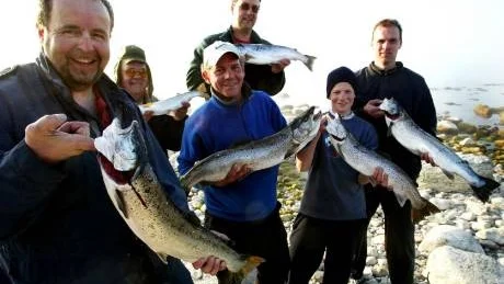 Glada laxar! På lördag är det dags igen för Öringträffen, sportfisketävlingen där priset går till det lag som tar den vackraste havsöringen. Alltså inte nödvändigtvis den största. Bilden är från 2002 års Öringträff.Arkivfoto: Henrik Radhe