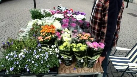 Boy Larsson säljer blommor i Östercentrum. Pengarna går till välgörande ändamål. foto: bengan zettergren/arkiv