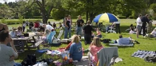 Papegojor njuter på picknick